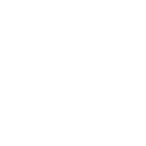 History 2021