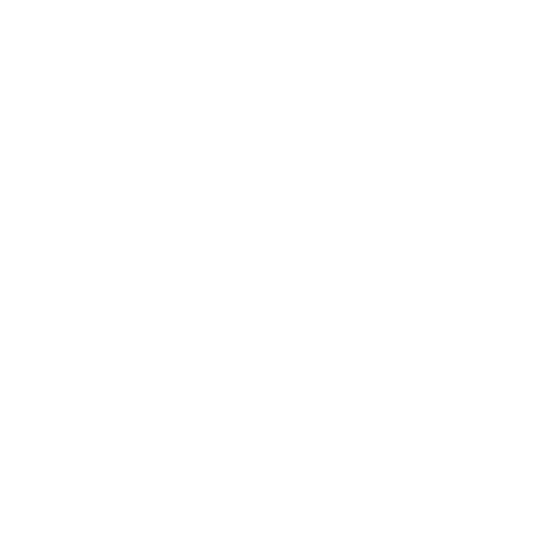 History 2020