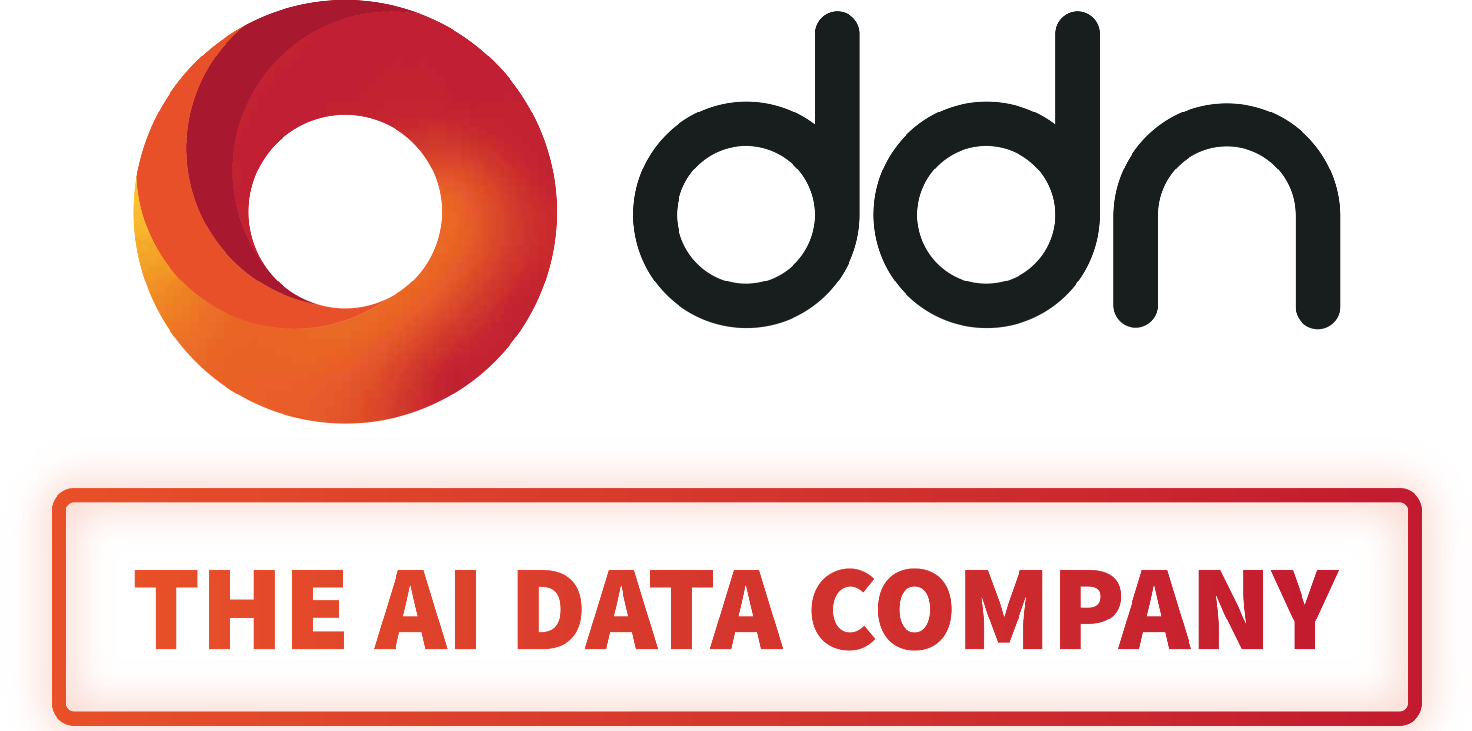 DDN - The Ai Data Company